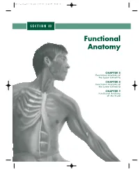 Functional Anatomy