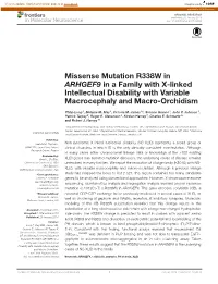 Missense Mutation R338W in ARHGEF9 in a Family with X-Linked Intellectual Disability with Variable Macrocephaly and Macro-Orchidism