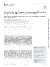Diversity of Sea Star-Associated Densoviruses and Transcribed Endogenous Viral Elements of Densovirus Origin