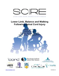 Lower Limb, Balance and Walking Following Spinal Cord Injury