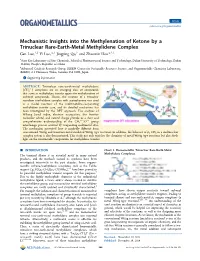 Mechanistic Insights Into the Methylenation of Ketone by A