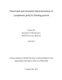 Functional and Structural Characterization of Cytoplasmic Poly(A) Binding Protein