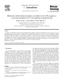 Molecular and Biomechanical Analysis of Rainbow Trout LCK Suggests A