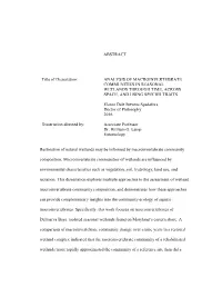 ABSTRACT Title of Dissertation