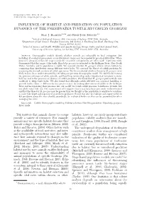 Influence of Habitat and Predation on Population Dynamics of the Freshwater Turtle Myuchelys Georgesi