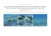 Marine Ecology Progress Series 569:15