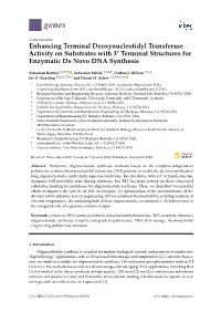 Enhancing Terminal Deoxynucleotidyl Transferase Activity on Substrates