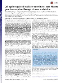 Cell Cycle-Regulated Oscillator Coordinates Core Histone Gene Transcription Through Histone Acetylation