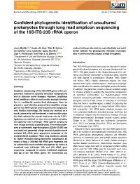 Confident Phylogenetic Identification of Uncultured Prokaryotes Through