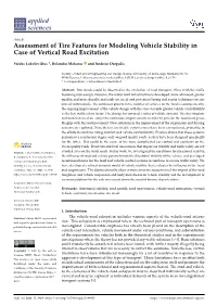 Assessment of Tire Features for Modeling Vehicle Stability in Case of Vertical Road Excitation
