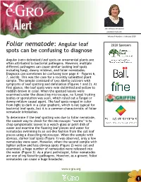 Foliar Nematode: Angular Leaf 2020 Sponsors Spots Can Be Confusing to Diagnose