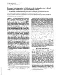 Presence and Expression of Friend Erythroleukemia Virus-Related Sequences in Normal and Leukemic Mouse Tissues