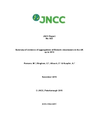 Summary of Evidence of Aggregations of Balearic Shearwaters in the UK up to 2013