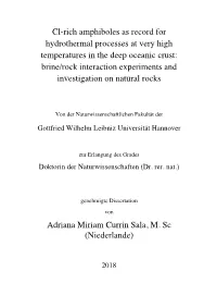 Cl-Rich Amphiboles As Record for Hydrothermal Processes at Very