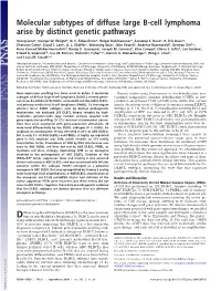 Molecular Subtypes of Diffuse Large B-Cell Lymphoma Arise by Distinct Genetic Pathways
