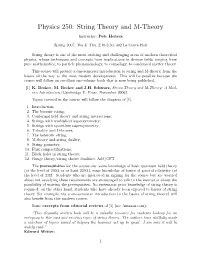 Physics 250: String Theory and M-Theory
