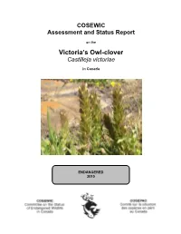 COSEWIC Assessment and Status Report on the Victoria Owl-Clover In
