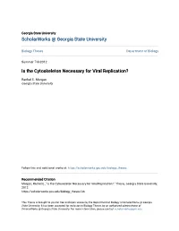 Is the Cytoskeleton Necessary for Viral Replication?
