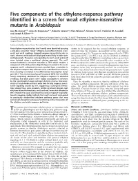 Five Components of the Ethylene-Response Pathway Identified in a Screen for Weak Ethylene-Insensitive Mutants in Arabidopsis