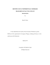 Identification of Differentially Expressed