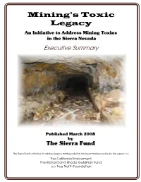 Executive Summary
