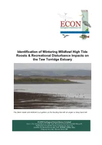 Final Report Identification of Wintering Wildfowl High Tide Roosts And