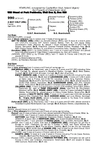 YEARLING, Consigned by Castledillon Stud, Ireland (Agent) the Property of Osberstown Stud Will Stand at Park Paddocks, Wall Box X, Box 528