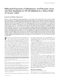 B Inhibition in a Mouse Model of Chronic Colitis1