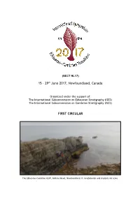 ISECT NL17 First Circular.Pdf