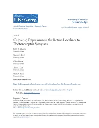 Calpain-5 Expression in the Retina Localizes to Photoreceptor Synapses Kellie A