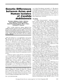Of Candida Dubliniensis, Ireland* Isolate Source Year of Isolation Location DST† Mating Type TAG Reference SL411 Ixodes Uriae Ticks 2007 GSI 27 Aa + (5) SL422 I