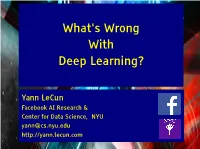 What's Wrong with Deep Learning?