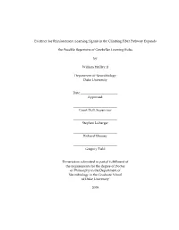 3. Climbing Fiber Input Preferentially Signals Correctly Timed Movements