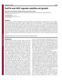 Sulf1a and HGF Regulate Satellite-Cell Growth