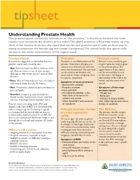 Understanding Prostate Health