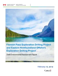 Draft Environmental Assessment Report