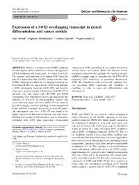Expression of a SOX1 Overlapping Transcript in Neural Differentiation and Cancer Models