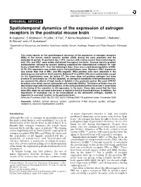 Spatiotemporal Dynamics of the Expression of Estrogen Receptors In