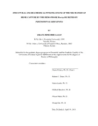 Structural and Biochemical Investigations of the Mechanism Of