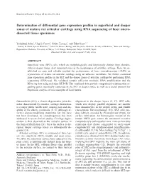 Determination of Differential Gene Expression Profiles in Superficial and Deeper Zones of Mature Rat Articular Cartilage Using RNA Sequencing of Laser Microdissected Tissue Specimens