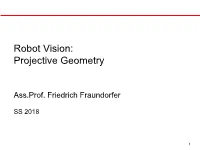 Robot Vision: Projective Geometry