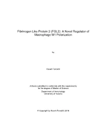 Fibrinogen Like Protein 2 (FGL2): a Novel Regulator of Macrophage M1 Polarization