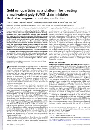 Gold Nanoparticles As a Platform for Creating a Multivalent Poly-SUMO Chain Inhibitor That Also Augments Ionizing Radiation