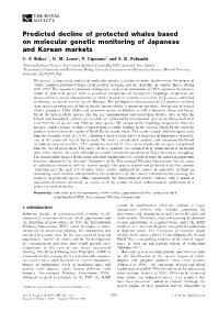Predicted Decline of Protected Whales Based on Molecular Genetic Monitoring of Japanese and Korean Markets C