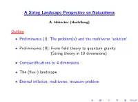 A String Landscape Perspective on Naturalness Outline • Preliminaries