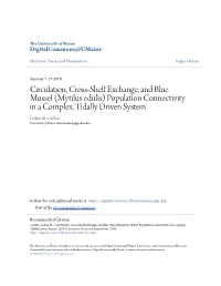 Circulation, Cross-Shelf Exchange, and Blue Mussel (Mytilus Edulis) Population Connectivity in a Complex, Tidally Driven System Leann M
