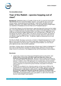 Year of the Rabbit – Species Hopping out of View?