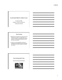 Final Enrichment Fun Handout Compressed Pix Copy.Pptx
