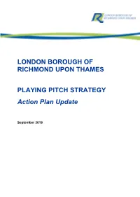 PLAYING PITCH STRATEGY Action Plan Update