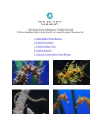 “The Secret Lives of Seahorses” Exhibit Press Kit Click on Headings Below to Go Directly to a Specific Page of the Press Kit